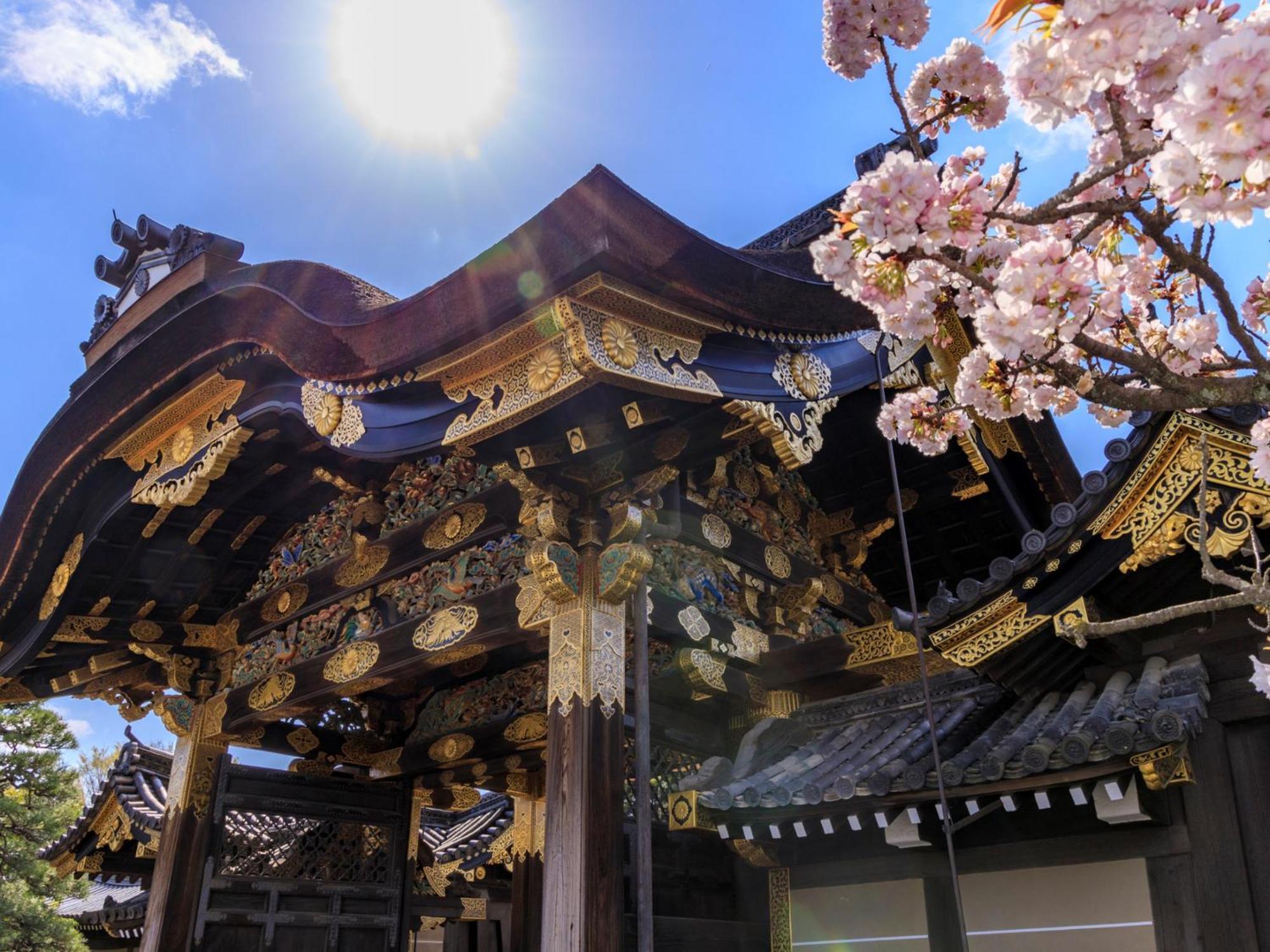 The Blossom Kyoto — Photos 2